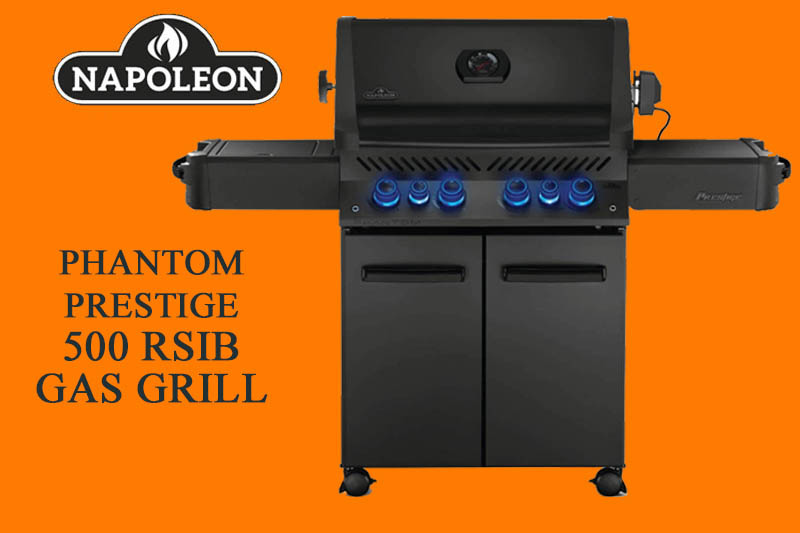 Napoleon Rogue® XT 425 The Napoleon Rogue® SE 425 RSIB is a high-quality gas grill that offers a superior grilling experience. It boasts three main burners, a sizzle zone side burner, and an infrared rear burner, providing a versatile range of cooking options